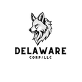 Formación de empresas en Delaware